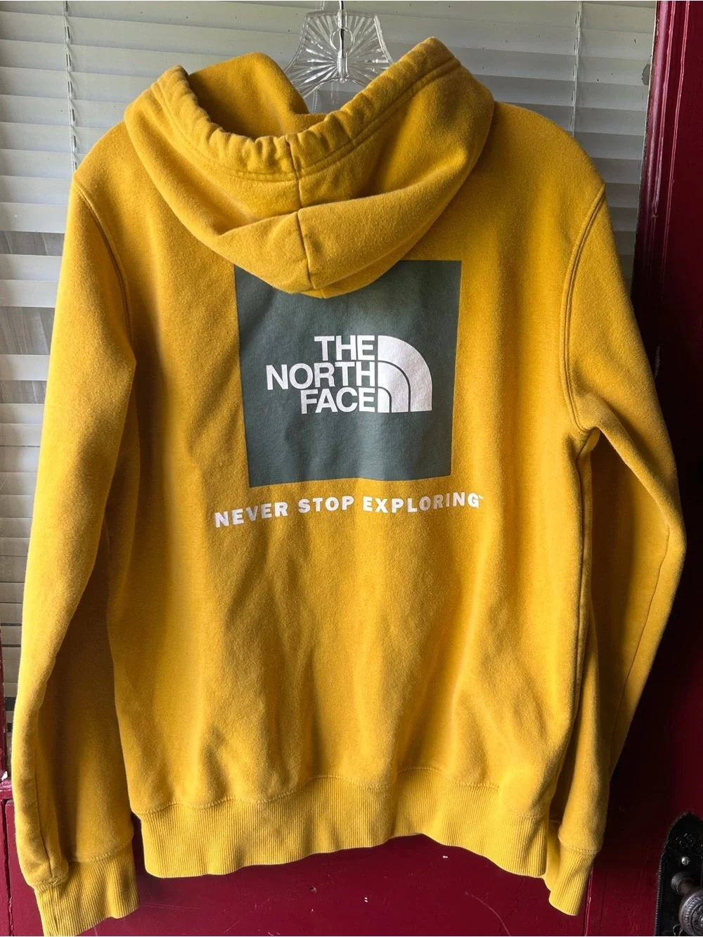 North face hoodie